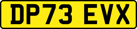 DP73EVX