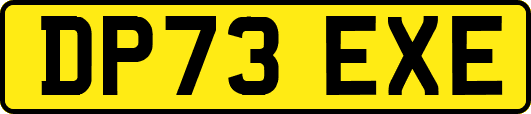 DP73EXE