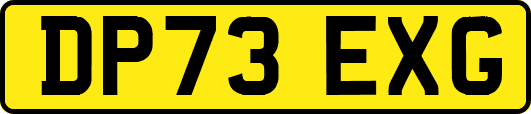 DP73EXG