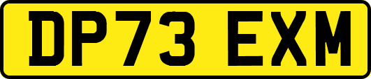 DP73EXM