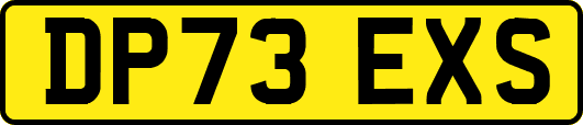 DP73EXS
