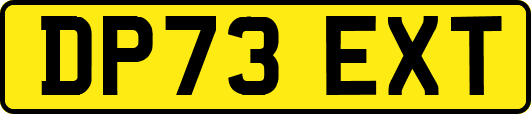 DP73EXT