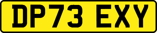 DP73EXY