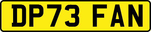 DP73FAN