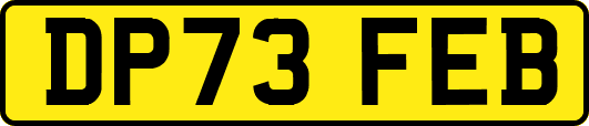 DP73FEB