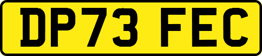 DP73FEC