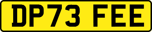 DP73FEE