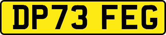 DP73FEG
