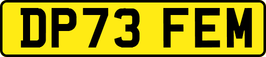 DP73FEM