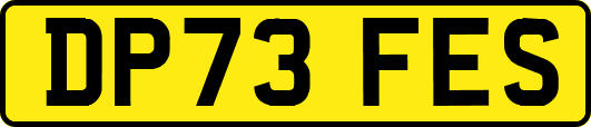 DP73FES
