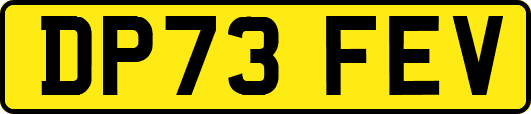 DP73FEV