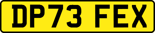 DP73FEX