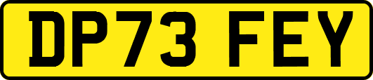 DP73FEY