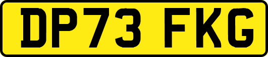 DP73FKG