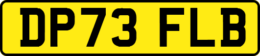 DP73FLB