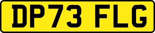 DP73FLG