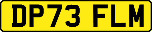 DP73FLM