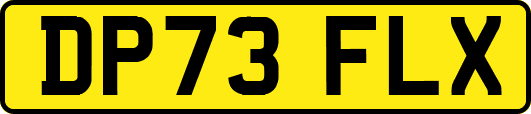 DP73FLX