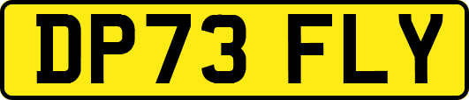 DP73FLY