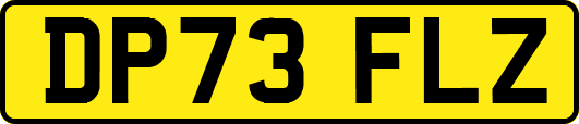 DP73FLZ