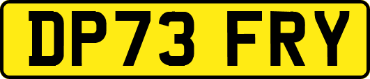 DP73FRY