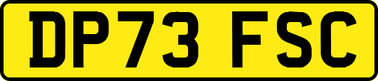DP73FSC