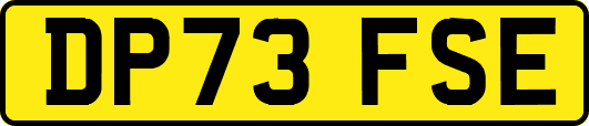 DP73FSE