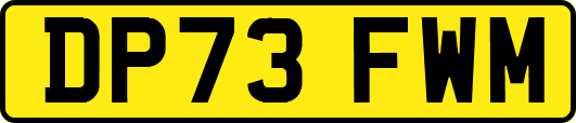 DP73FWM