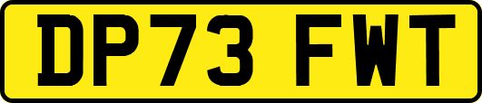 DP73FWT