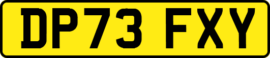 DP73FXY