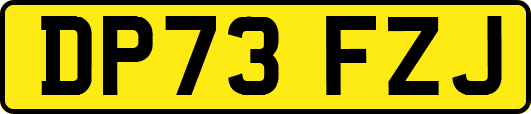 DP73FZJ