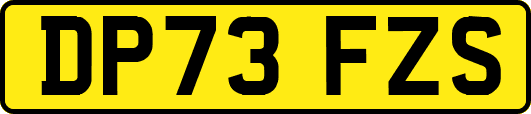 DP73FZS