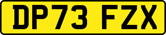 DP73FZX