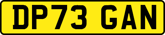 DP73GAN