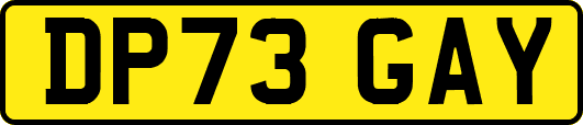 DP73GAY