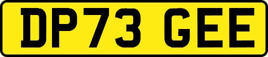 DP73GEE