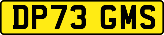 DP73GMS