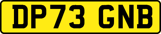 DP73GNB