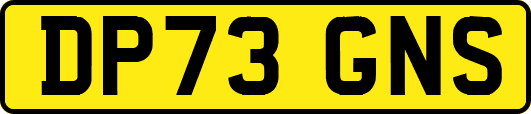 DP73GNS
