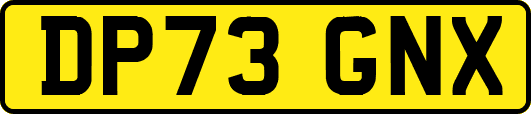 DP73GNX