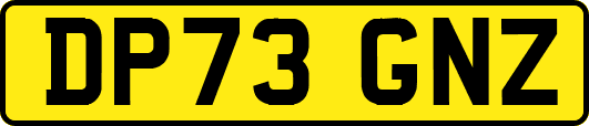 DP73GNZ
