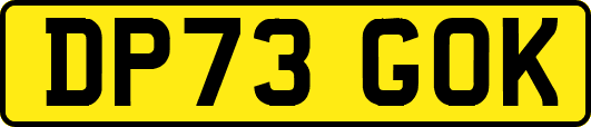 DP73GOK