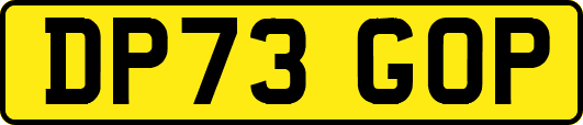 DP73GOP