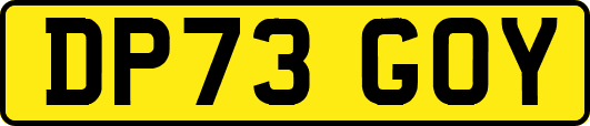 DP73GOY