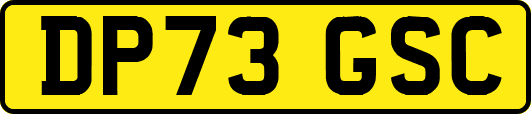 DP73GSC