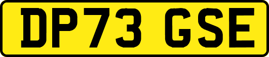 DP73GSE