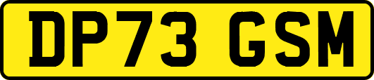 DP73GSM