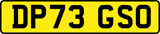 DP73GSO