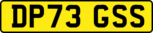 DP73GSS