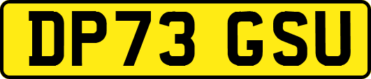 DP73GSU